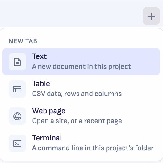 The + at the end of the tabs, open on New tab: Text, Table, Web page and Terminal, a command line in this project's folder